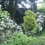 Ruhe Am - Ferienhaeuser In Den Gaerten Von Magra By Interhome Nyaraló *