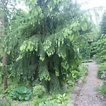Nyaraló Ruhe Am - Ferienhaeuser In Den Gaerten Von Magra By Interhome
